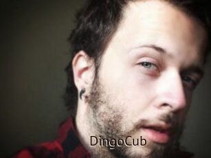 DingoCub