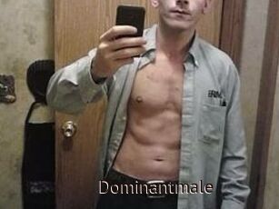 Dominantmale