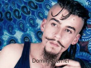 DominicTerrier