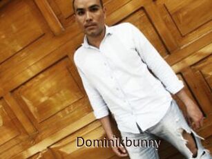 Dominikbunny