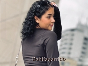 Dahliagarrido