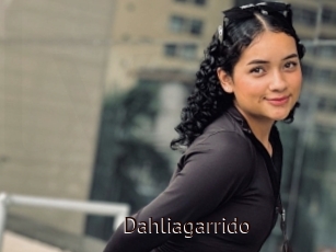 Dahliagarrido