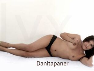 Danitapaner