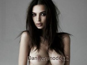 Danitestmodel12