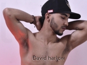 David_harlow