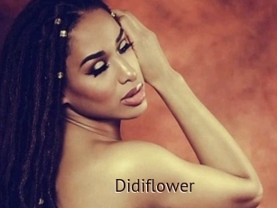 Didiflower