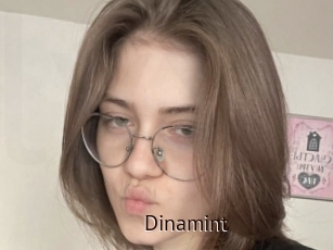 Dinamint