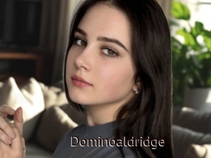 Dominoaldridge
