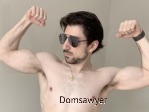 Domsawyer