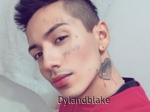 Dylandblake