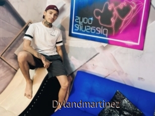 Dylandmartinez