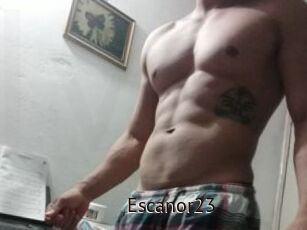 Escanor23