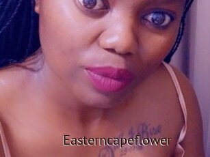 Easterncapeflower