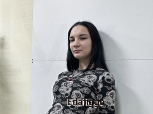 Edafigge