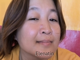 Elenatin