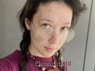 Elenegarfield