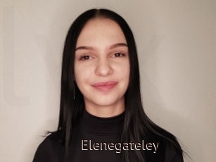 Elenegateley