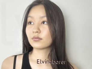 Elvinaborer