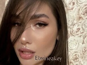 Elwineakey