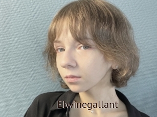 Elwinegallant