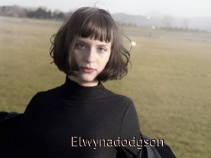Elwynadodgson