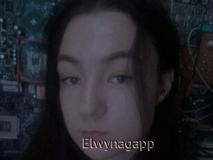 Elwynagapp