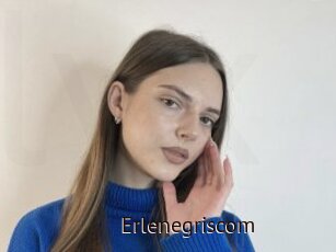 Erlenegriscom