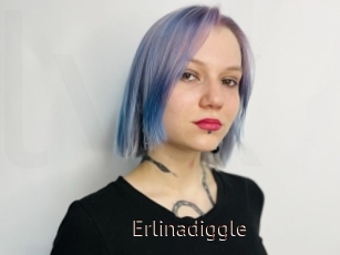 Erlinadiggle