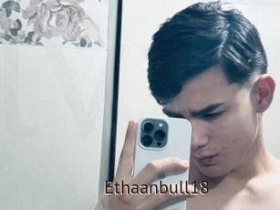Ethaanbull18