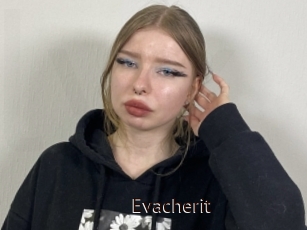 Evacherit