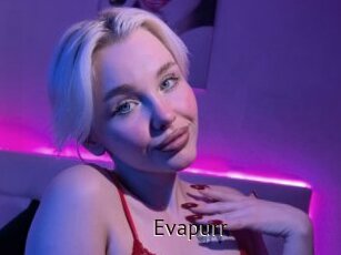Evapurr