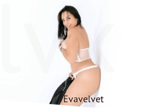 Evavelvet