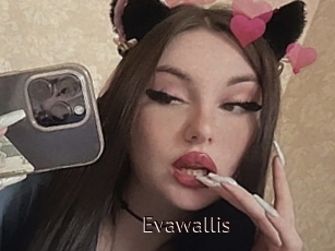 Evawallis