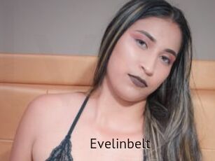 Evelinbelt