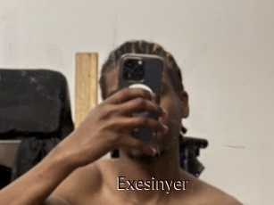 Exesinyer