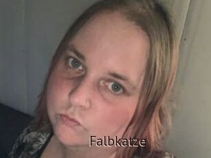 Falbkatze
