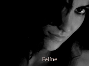 Feline
