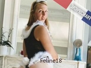 Feline18