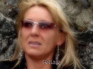 Fellare