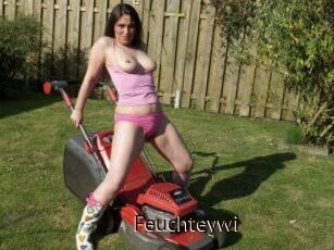 Feuchteywi