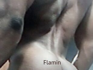 Flamin