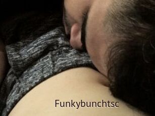 Funkybunchtsc