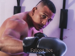 Falcon_hot