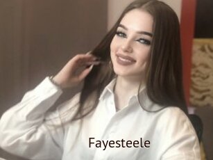 Fayesteele