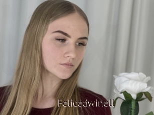 Felicedwinell