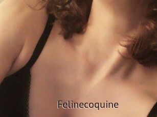 Felinecoquine
