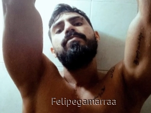 Felipegamarraa