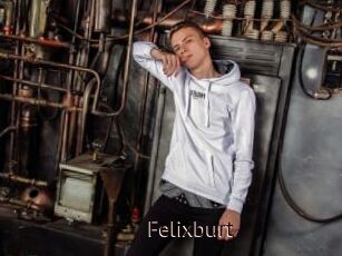 Felixburt