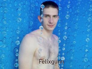 Felixgunn