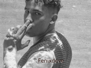 Fenixdeve